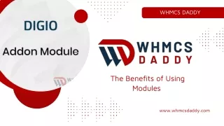 Trustworthy WHMCS Support Services by WHMCS Daddy