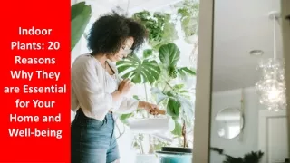 Indoor Plants 20 Reasons Why They are Essential for Your Home and Well-being