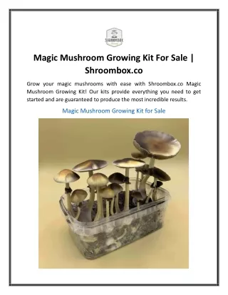 Magic Mushroom Growing Kit For Sale Shroombox.co