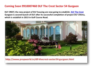 Dlf The Crest Dlf Crest Gurgaon Dlf Crest 9910007460 Dlf The