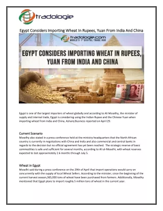 Egypt Considers Importing Wheat In Rupees, Yuan From India And China