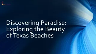 Discovering Paradise Exploring the Beauty of Texas Beaches