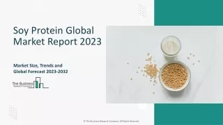 Soy Protein Market Research Analysis 2023-2032 | Growth, Size, Demand, Analysis