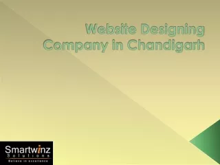 Website Designing Company in Chandigarh