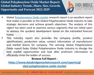Polyphenylene Market-Chemical Material