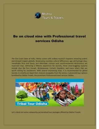 Be on cloud nine with Professional travel services Odisha