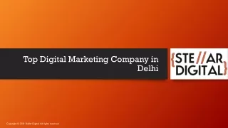 Top Digital Marketing Company in Delhi