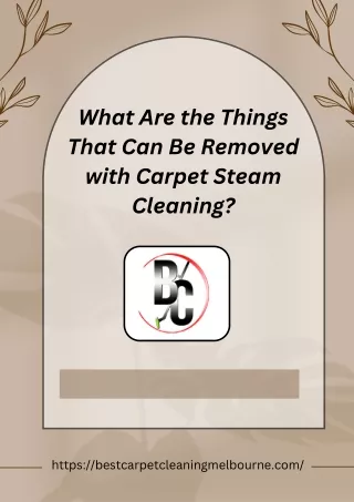 What Are the Things That Can Be Removed with Carpet Steam Cleaning?