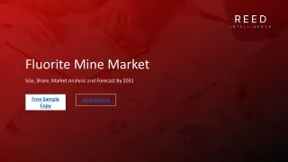 Fluorite Mine Market Insights: Unlocking Key Industry Trends