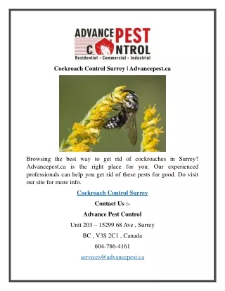 Cockroach Control Surrey  Advancepest.ca