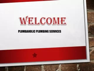 Get the Best Blocked Drain in Currans Hill