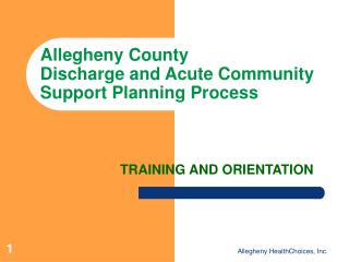 Allegheny County Discharge and Acute Community Support Planning Process