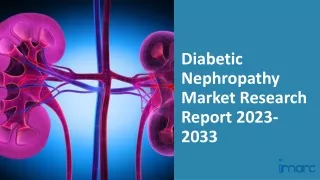 Diabetic Nephropathy Market Research Report 2023-2033