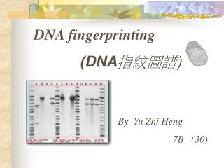 DNA fingerprinting (DNA 指紋圖譜 )