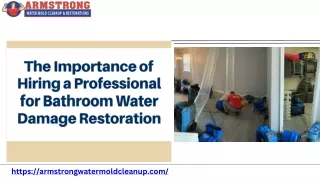 Eliminate Mold from Water Damage in Fort Myers - Expert Solutions at Your Servic