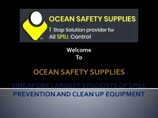 Purchase Flammable Storage Cabinet Singapore  Ocean safety Supplies