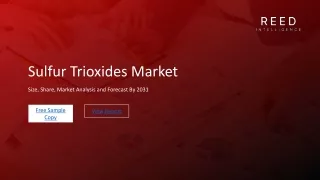 Sulfur Trioxides Market Expansion Strategies: Unlocking New Growth Avenues