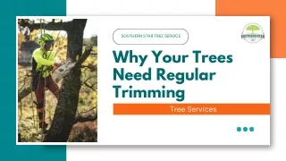 Why Your Trees Need Regular Trimming