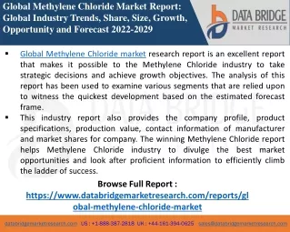 Chloride Market - Chemical Material