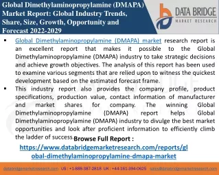 Dimethylaminopropylamine - Chemical Material