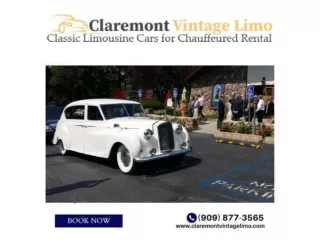 Classic Car Rentals Give You Both The Opportunity To Enjoy & Privacy