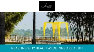 Reasons Why Beach Weddings Are A Hit!