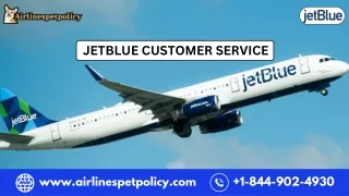 How Do I Contact JetBlue Customer Service