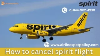 How to cancel spirit flight