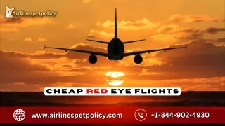 How to find cheap red eye flights?