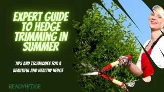 Expert Guide to Hedge Trimming in Summer Tips and Techniques for a Beautiful and Healthy Hedge