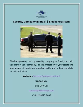 Security Company In Brazil  Bluelionops