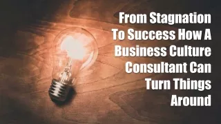 From Stagnation To Success How A Business Culture Consultant Can Turn Things Around