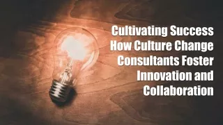 Cultivating Success How Culture Change Consultants Foster Innovation and Collaboration