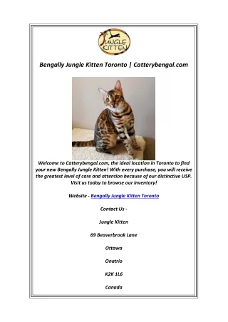 Bengally Jungle Kitten Toronto | Catterybengal.com