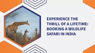 Experience the Thrill of a Lifetime Booking a Wildlife Safari in India