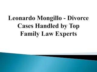 Leonardo Mongillo - Divorce Cases Handled by Top Family Law Experts