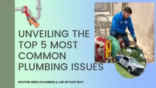 Unveiling the Top 5 Most Common Plumbing Issues