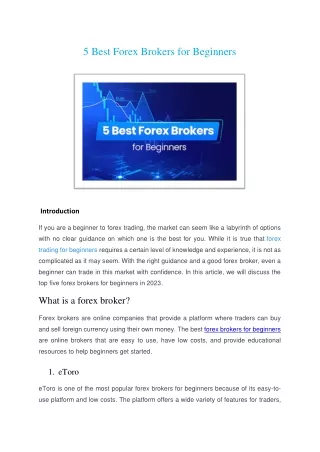 5 Best Forex Brokers for Beginners
