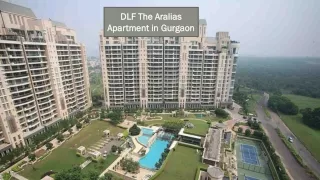 Apartments in Gurgaon for Rent | DLF Aralias Gurgaon