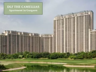 Apartments on Sale in Gurugram | DLF Camellias on Sale in Gurgaon
