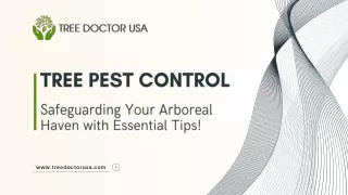 Tree Pest Control Safeguarding Your Arboreal Haven with Essential Tips