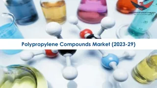 Polypropylene Compounds Market | Global Analysis Report 2023-2029