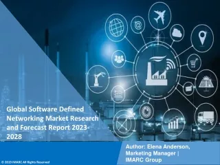 Software Defined Networking Market Research and Forecast Report 2023-2028