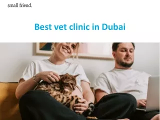 Best vet clinic in Dubai