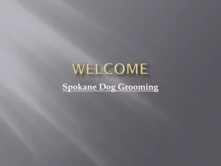 Get the Best Dog salon in Lincoln Heights