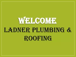 Best service for Fascias and Gutters in Avonsleigh