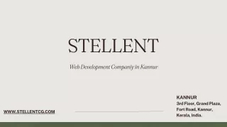 Web Development Companies in Kannur | Stellent