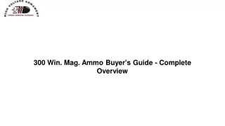 300 Win. Mag. Ammo Buyer's Guide - Complete Overview
