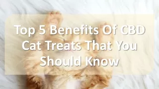 Top 5 Benefits Of CBD Cat Treats That You Should Know