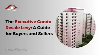 The Executive Condo Resale Levy A Guide for Buyers and Sellers